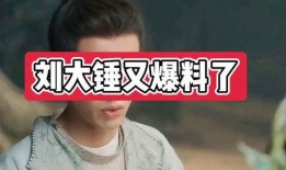 刘大锤最新爆料岳云鹏,笑星背后故事引热议！”