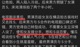 最新狗仔爆料视频播放下载,最新爆料视频播放下载，揭秘明星幕后故事