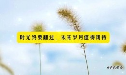 正能量最新爆料文案,揭秘生活美好瞬间，激发心灵正能量！